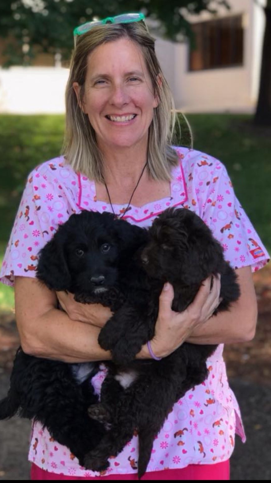 Highland Hills Pet Hospital Meet Our Team