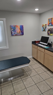 2exam room 1 2exam room 1